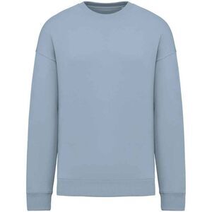 Native Spirit Womens/Ladies Oversized Sweatshirt / Aquamarine